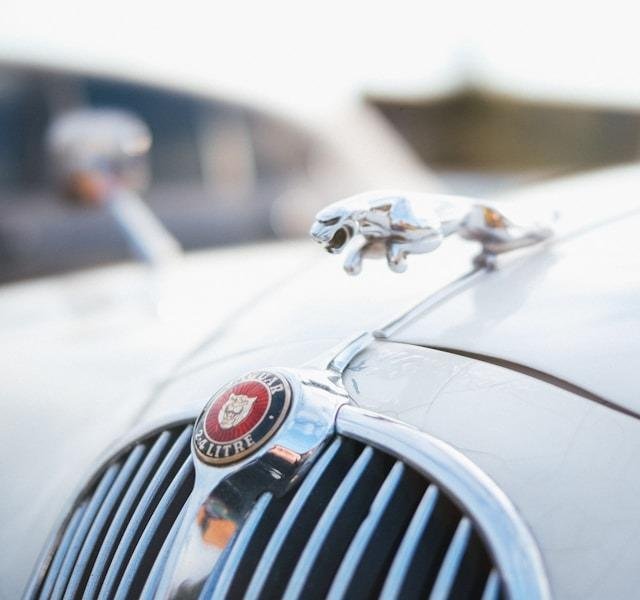 Home 109 Jaguar
